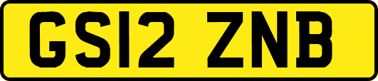 GS12ZNB