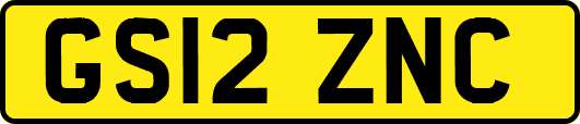 GS12ZNC