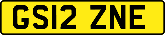 GS12ZNE