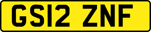 GS12ZNF