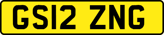 GS12ZNG