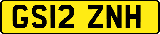 GS12ZNH