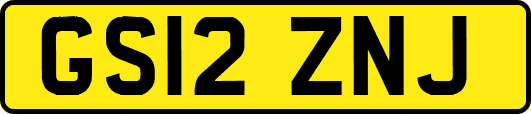 GS12ZNJ