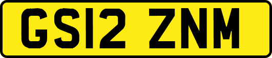 GS12ZNM