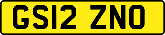 GS12ZNO