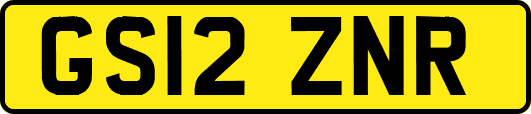 GS12ZNR