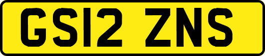 GS12ZNS