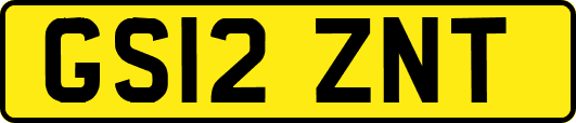 GS12ZNT