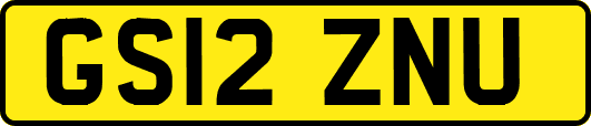 GS12ZNU