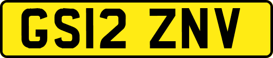 GS12ZNV