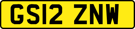 GS12ZNW