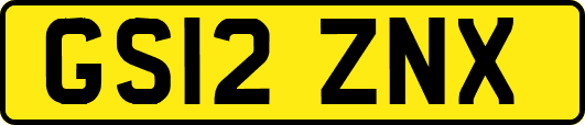 GS12ZNX