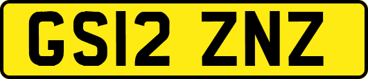 GS12ZNZ