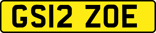 GS12ZOE