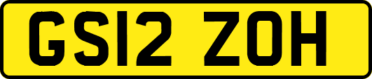 GS12ZOH