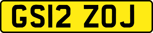 GS12ZOJ