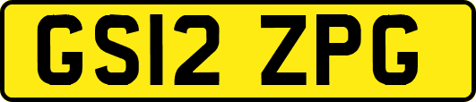 GS12ZPG