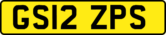 GS12ZPS