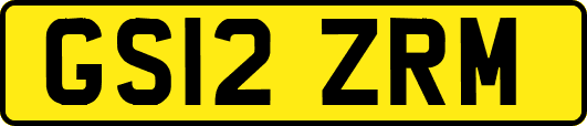 GS12ZRM