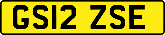 GS12ZSE