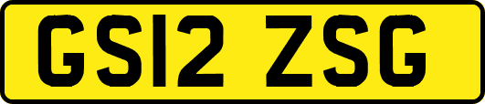 GS12ZSG