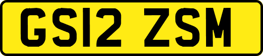 GS12ZSM