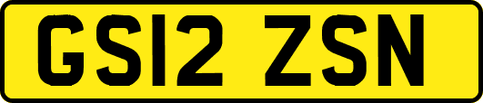 GS12ZSN