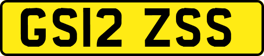 GS12ZSS