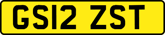GS12ZST