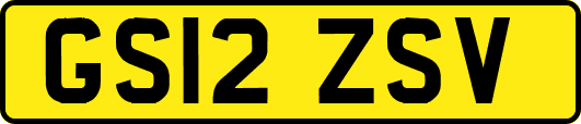 GS12ZSV