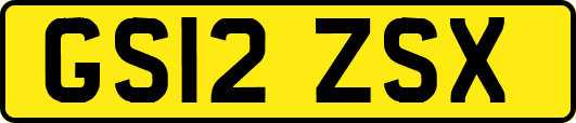 GS12ZSX