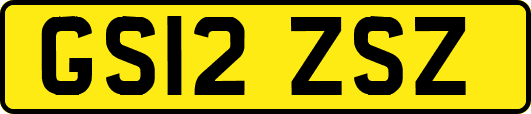 GS12ZSZ