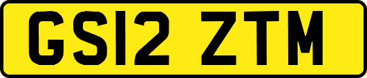 GS12ZTM