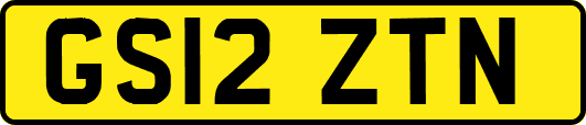 GS12ZTN