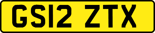 GS12ZTX