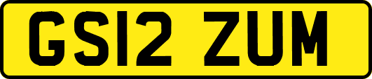 GS12ZUM
