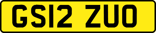 GS12ZUO