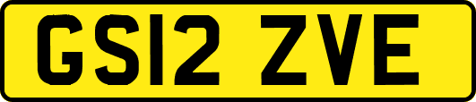 GS12ZVE