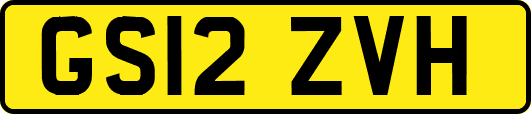 GS12ZVH