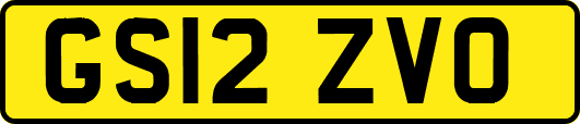 GS12ZVO