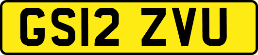 GS12ZVU