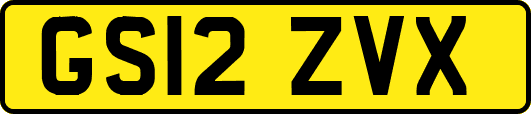 GS12ZVX