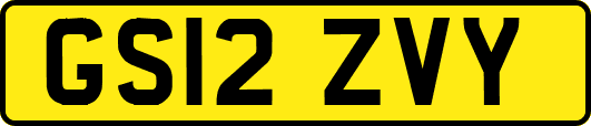 GS12ZVY