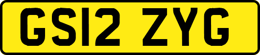 GS12ZYG