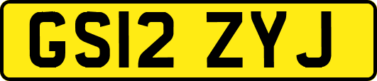 GS12ZYJ