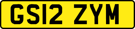 GS12ZYM