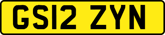 GS12ZYN