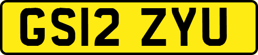 GS12ZYU