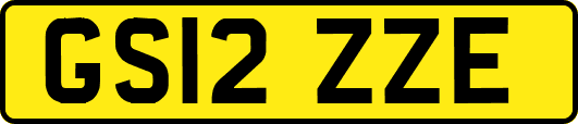GS12ZZE
