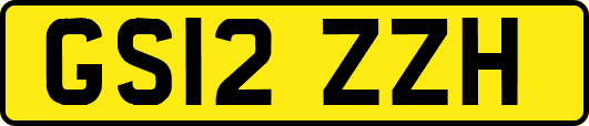 GS12ZZH
